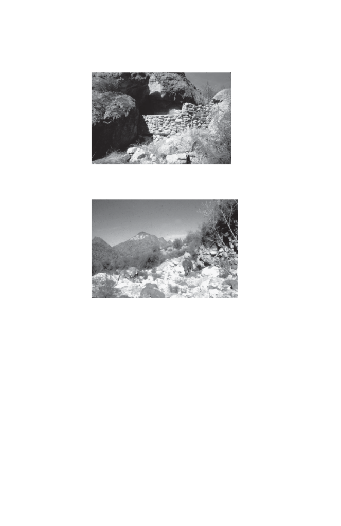 Stone structure nestled among rocky terrain and sparse vegetation
