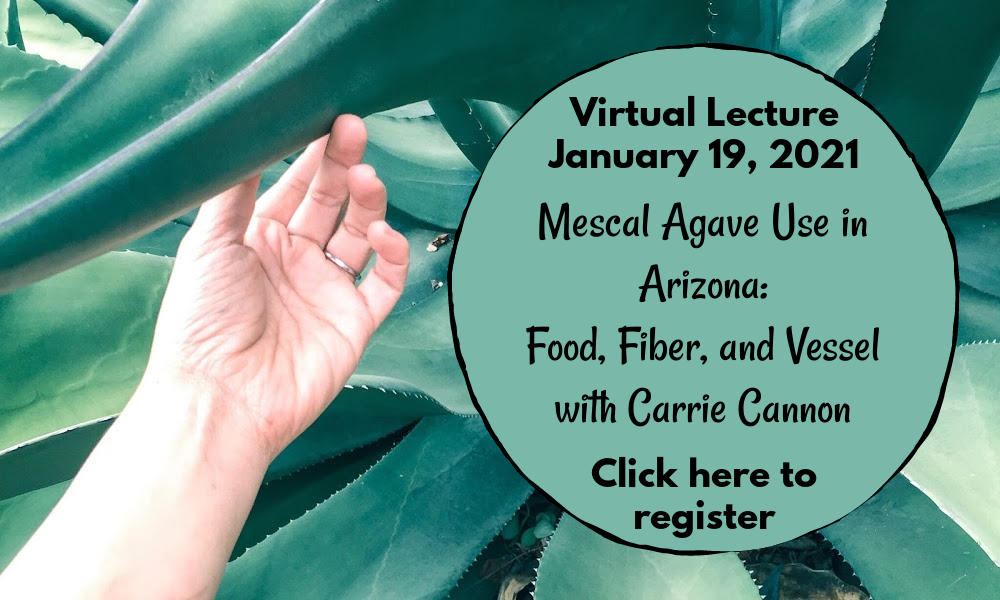 Apache Junction Public Library