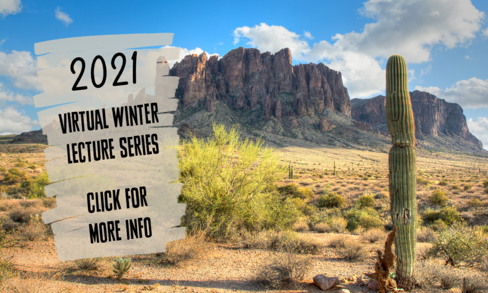 Apache Junction Public Library